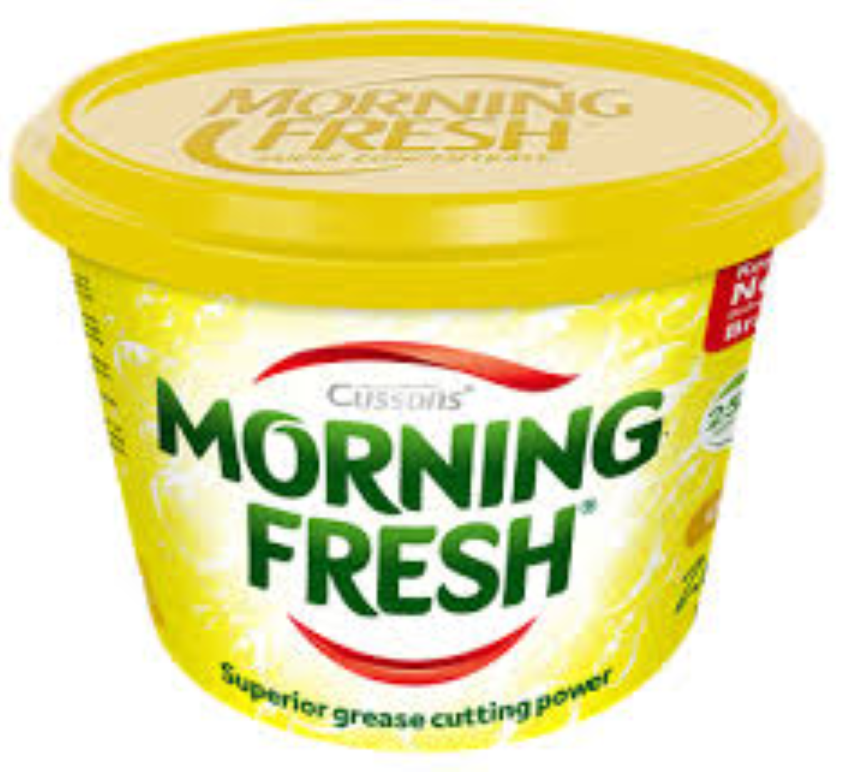 MORNING FRESH PASTE ZESTY 800G
